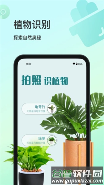 花卉识别截图5