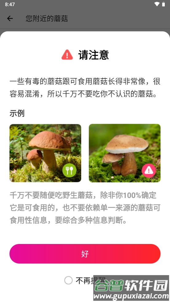 蘑菇识别扫一扫中文版截图1