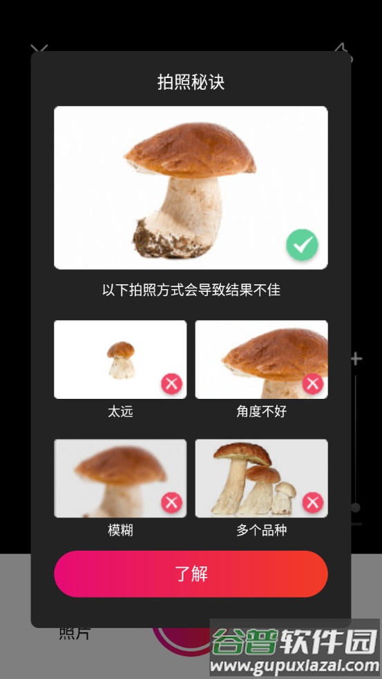蘑菇识别扫一扫中文版截图3