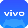 vivo appv11.6.0.1