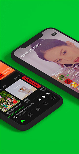 Melon2025最新版截图2