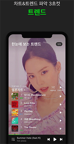 Melon2025最新版截图3