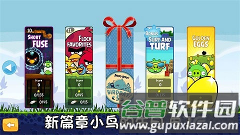 愤怒的小鸟五周年版截图3