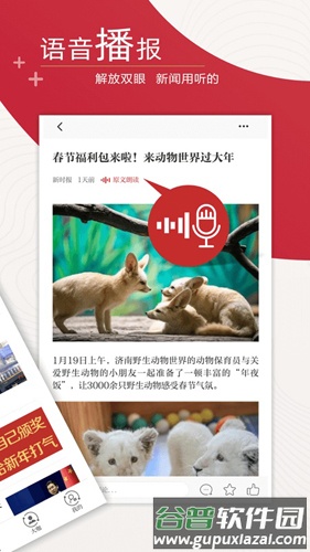 新时报app(改名新黄河)截图2