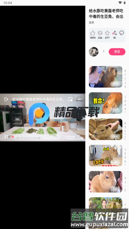 BiliLite手机版截图4