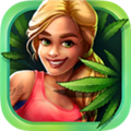 迷幻农场v2.30.1