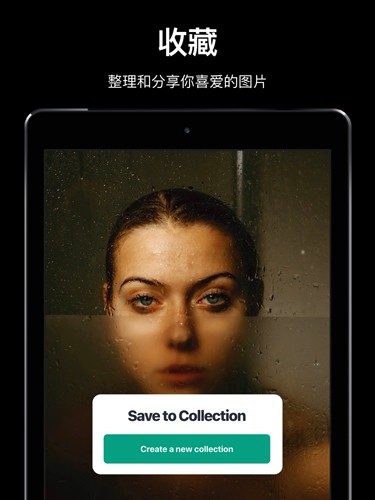 pexels素材中文版官方截图1