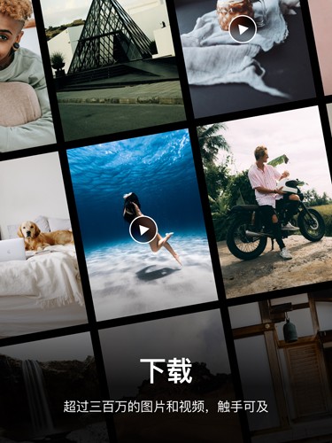 pexels素材中文版官方截图5