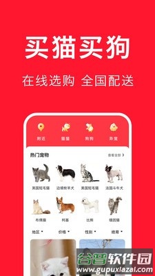 宠物宝安卓版截图1