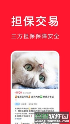 宠物宝安卓版截图2