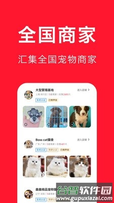 宠物宝安卓版截图3