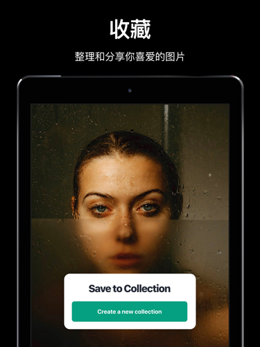 Pexels官方app截图5