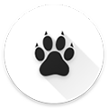amarokv0.9.3