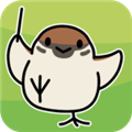 鸟鸣小镇v1.12.0
