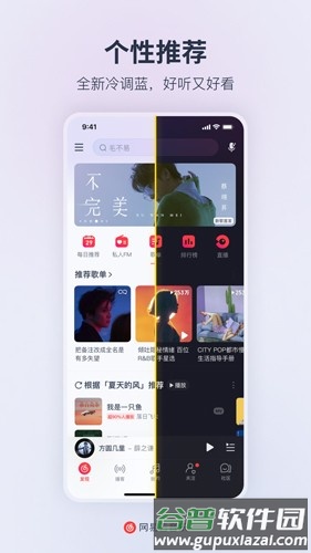 网易云音乐去广告去升级精简版截图3