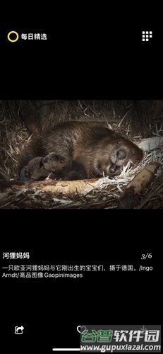 每日精选安卓版截图3