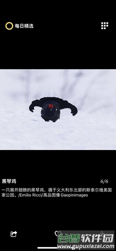 每日精选安卓版截图5