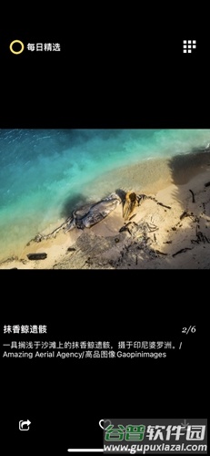 每日精选安卓版截图7