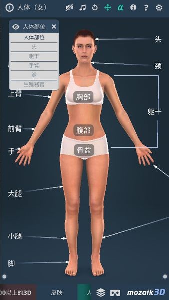 humanbody女士版截图2