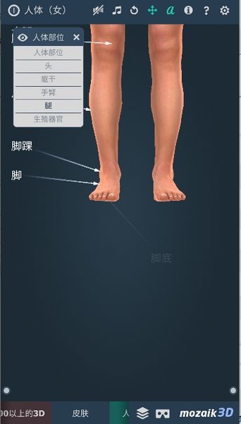 humanbody女士版截图3