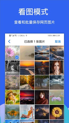 Alook浏览器app截图4