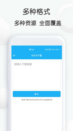 云雀idm网页视频下载器app截图2
