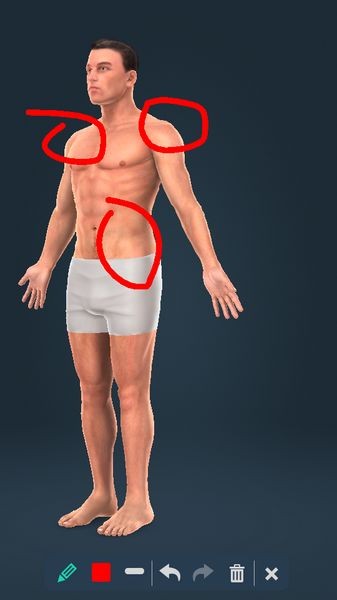 humanbody安卓版截图2