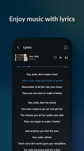 Lark Player高级版截图1