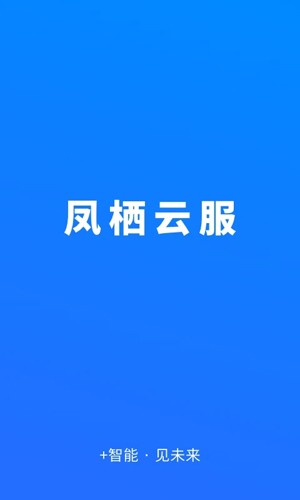 凤栖云服app截图1