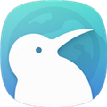 KiwiBrowser官方版v139.0.7339.0