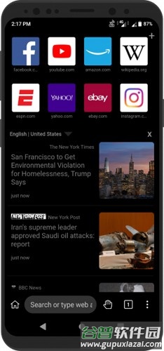 KiwiBrowser官方版截图1