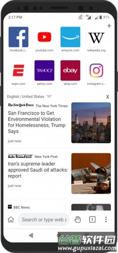 KiwiBrowser官方版截图3