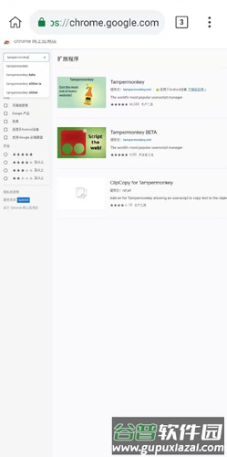 Kiwi Browser中文版截图3
