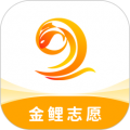 金鲤志愿appv4.0.1