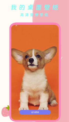 我的桌面壁纸安卓版截图1