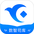 数智司库官方版v3.0.5