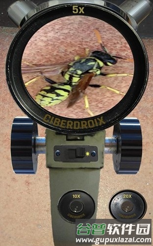 手机显微镜现实app截图3