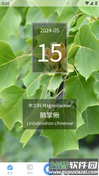 植物智app官方正版截图1