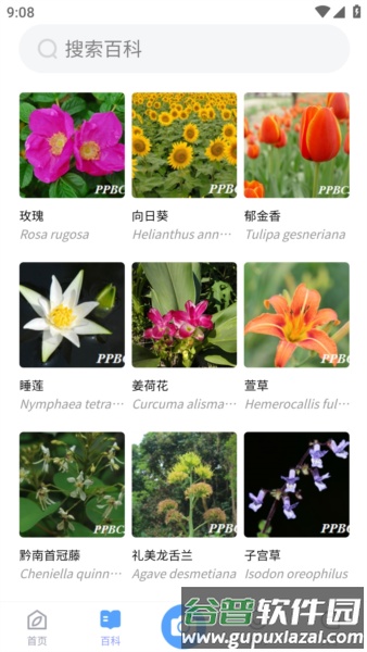 植物智app官方正版截图2