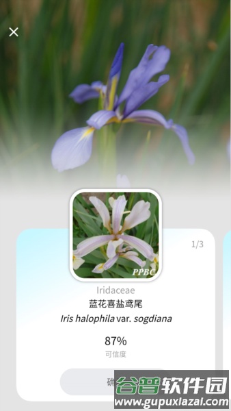 植物智app官方正版截图3