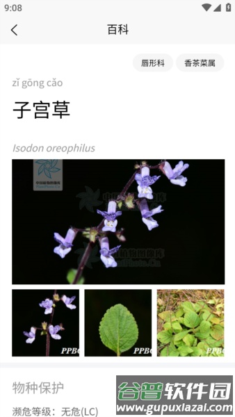 植物智app官方正版截图4