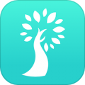 小树同学官方版v2.5.6