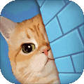 橘猫侦探社v3.1