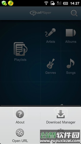 RealPlayer播放器截图2