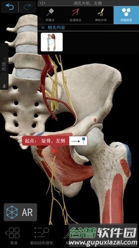 肌肉与运动机能学app截图1