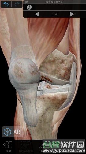 肌肉与运动机能学app截图2