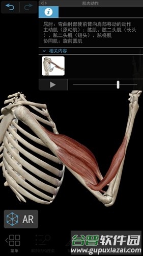 肌肉与运动机能学app截图3