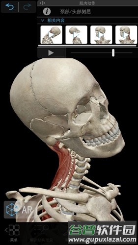 肌肉与运动机能学app截图7