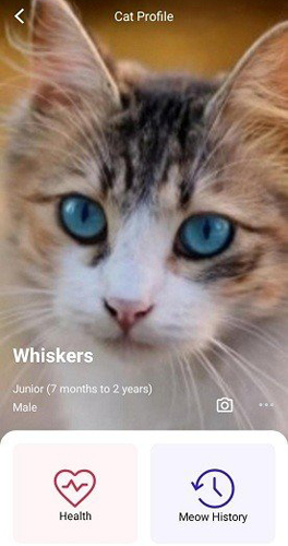 MeowTalk软件截图2