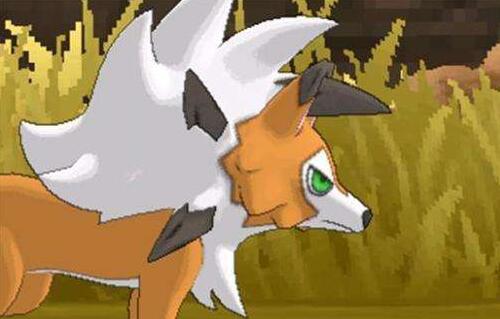 口袋妖怪究极之日金手指截图6